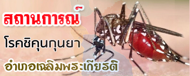 Banner Chikungunya